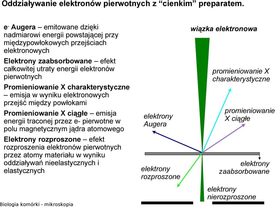 pierwotnych Promieniowanie X charakterystyczne emisja w wyniku elektronowych przejść między powłokami Promieniowanie X ciągłe emisja energii traconej przez e- pierwotne w polu