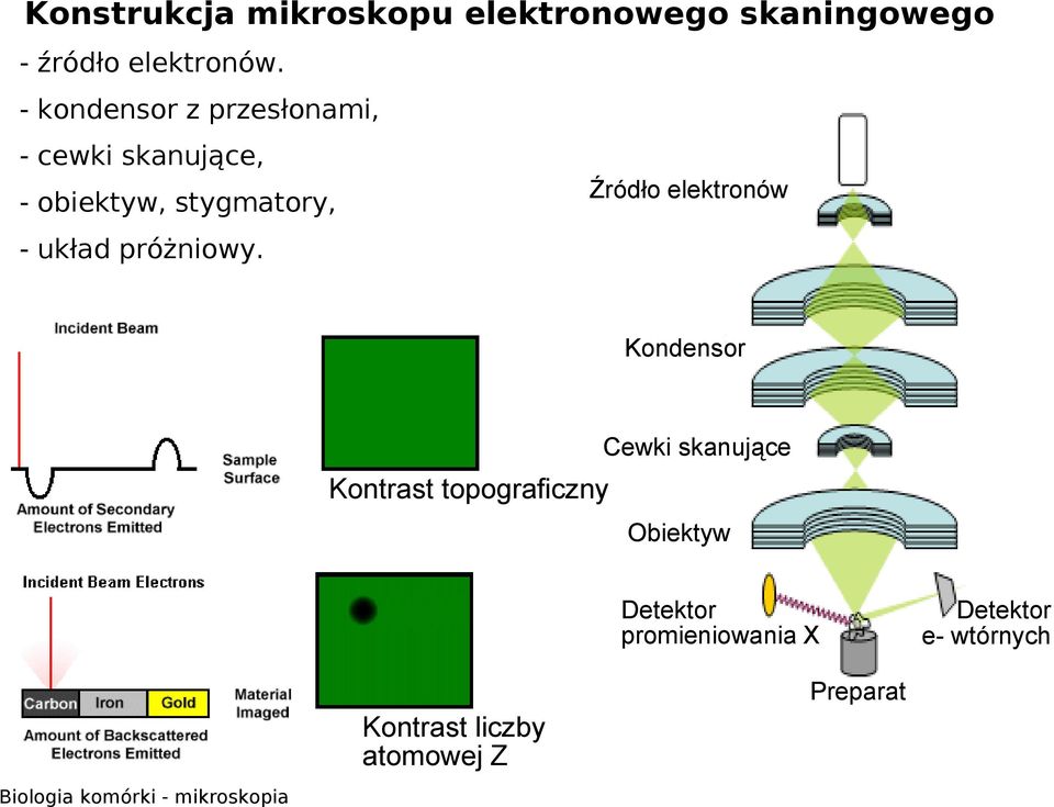 stygmatory, - układ próżniowy.