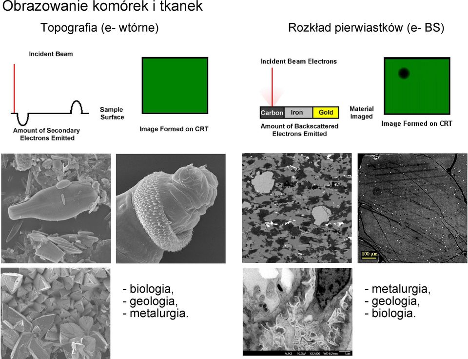 geologia, - metalurgia.