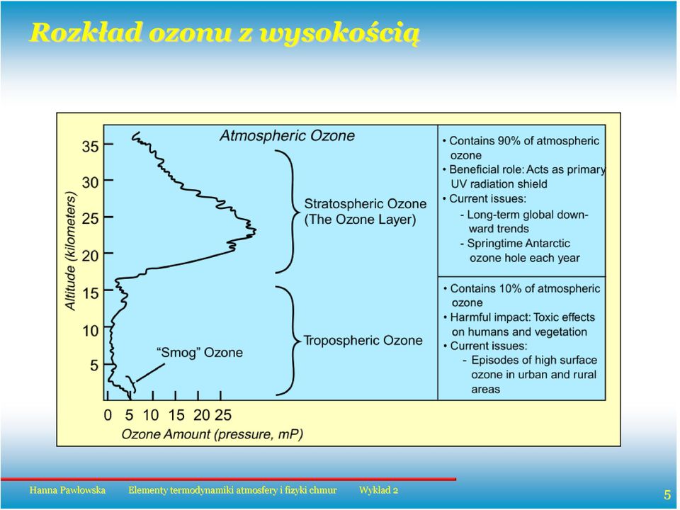 wsokością