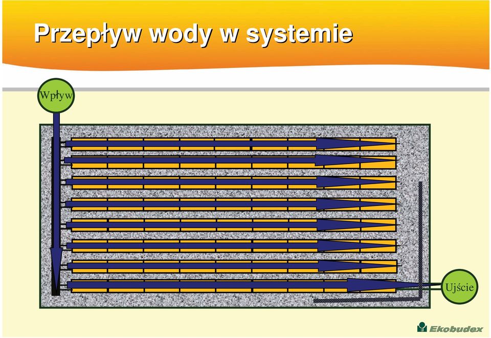 systemie