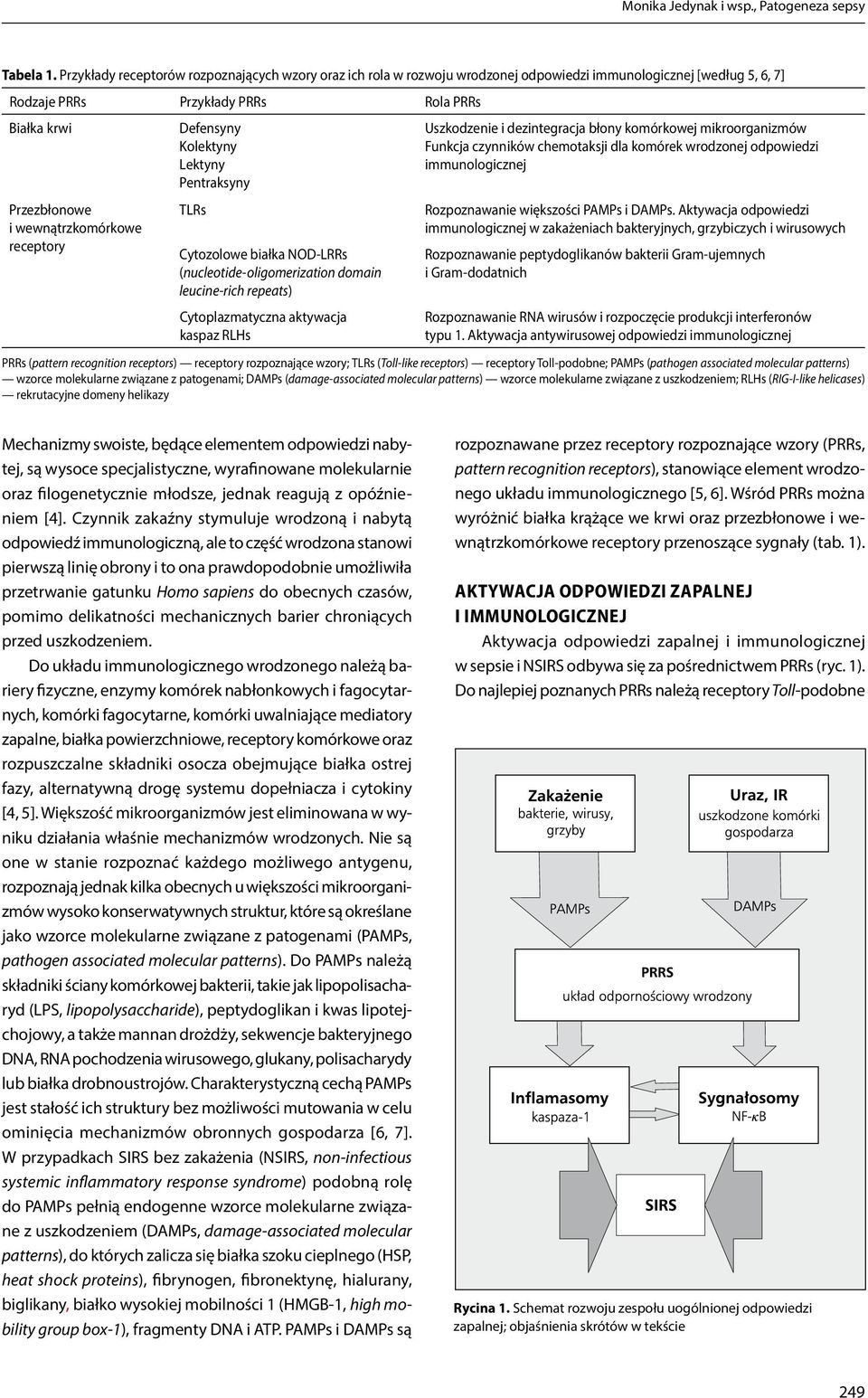 Pentraksyny Uszkodzenie i dezintegracja błony komórkowej mikroorganizmów Funkcja czynników chemotaksji dla komórek wrodzonej odpowiedzi immunologicznej Przezbłonowe i wewnątrzkomórkowe receptory TLRs