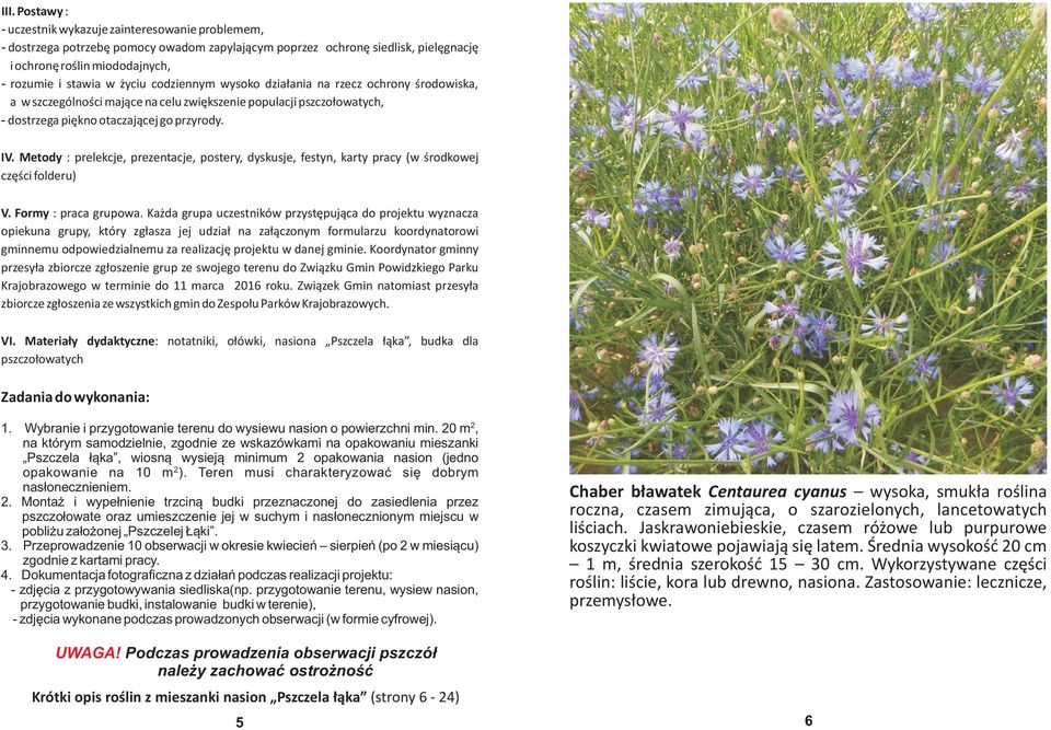 Metody : prelekcje, prezentacje, postery, dyskusje, festyn, karty pracy (w œrodkowej czêœci folderu) V. Formy : praca grupowa.