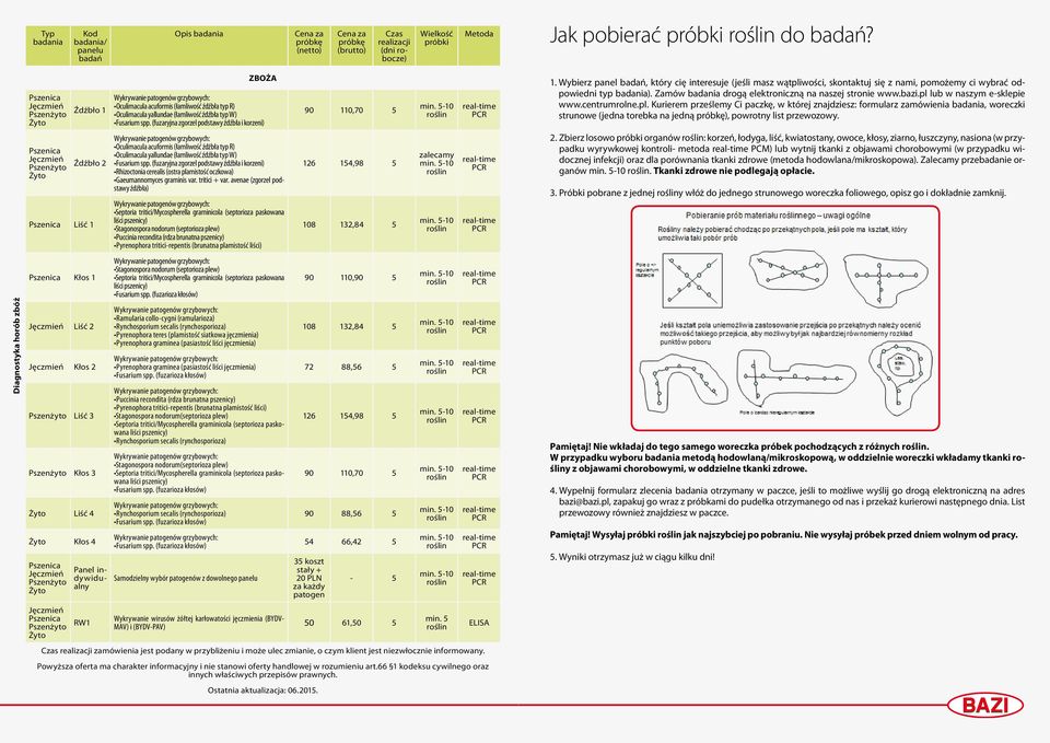 Kłos 3 Żyto Liść 4 Żyto Kłos 4 Pszenica Jęczmień Pszenżyto Żyto Jęczmień Pszenica Pszenżyto Żyto Panel indywidualny RW1 ZBOŻA Oculimacula acuformis (łamliwość źdźbła typ R) Oculimacula yallundae
