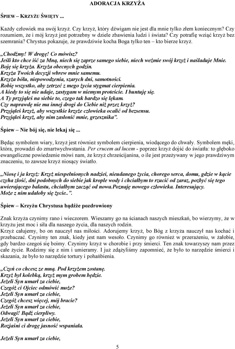 W drogę! Co mówisz? Jeśli kto chce iść za Mną, niech się zaprze samego siebie, niech weźmie swój krzyż i naśladuje Mnie. Boję się krzyża. Krzyża obecnych godzin.