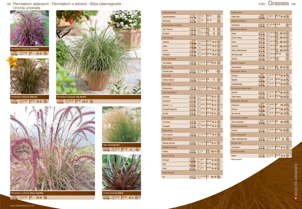 The Beatles Carex comans Frosted Curls Carex elata Bowles Golden Carex grayi Morgenstern 10 22 10 14 50 150 10 22 10 14 50 130 18 27 35 45 18 27 35 45 18 27 35 45 10 13 10 13 10 13 10 20 15 23 10 13