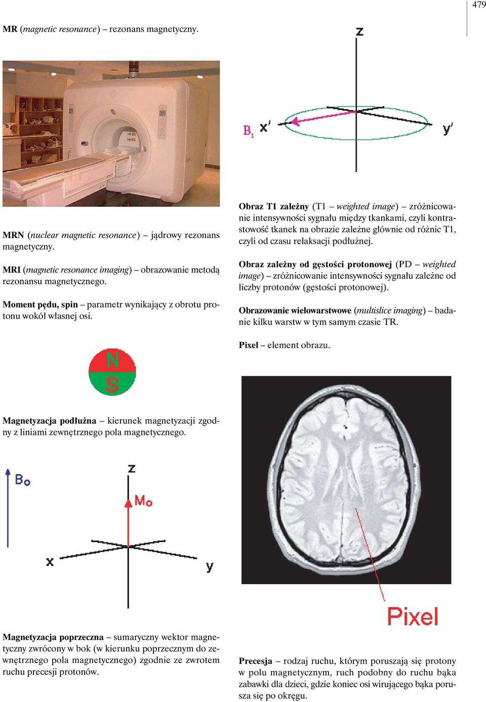 Obraz T1 zale ny (T1 weighted image) zró nicowanie intensywnoêci sygna u mi dzy tkankami, czyli kontrastowoêç tkanek na obrazie zale ne g ównie od ró nic T1, czyli od czasu relaksacji pod u nej.