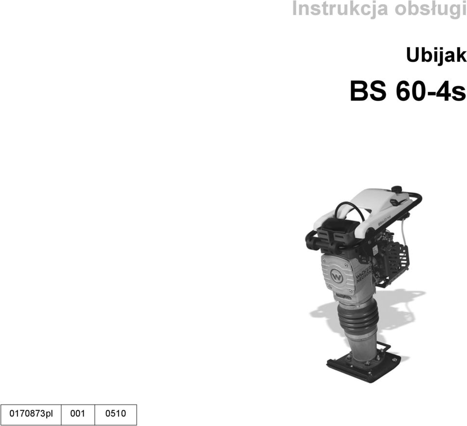 Ubijak BS