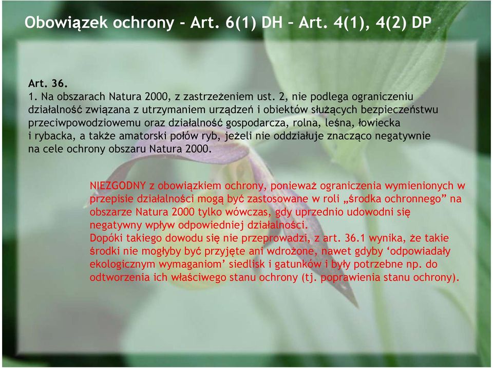 amatorski połów ryb, jeżeli nie oddziałuje znacząco negatywnie na cele ochrony obszaru Natura 2000.