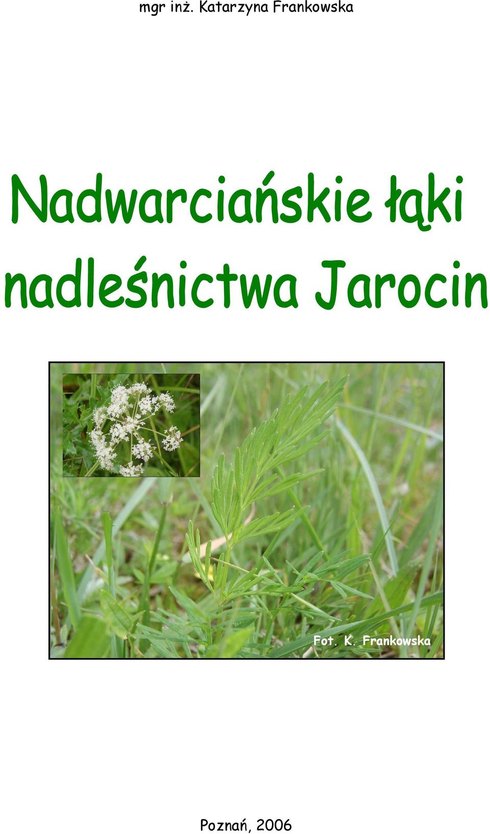 Frankowska Fot.