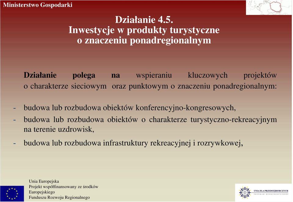 projektów o charakterze sieciowym oraz punktowym o znaczeniu ponadregionalnym: - budowa lub rozbudowa