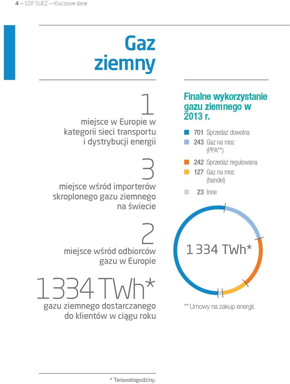 dostarczanego do klientów w ciągu roku Finalne wykorzystanie gazu ziemnego w 2013 r.