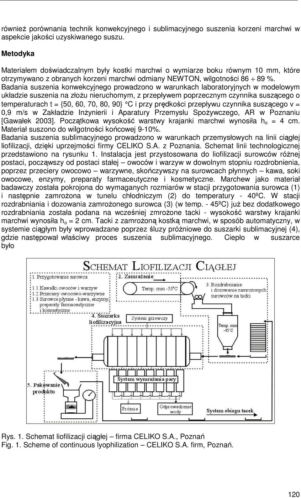 Badania suszenia konwekcyjnego prowadzono w warunkach laboratoryjnych w modelowym układzie suszenia na złoŝu nieruchomym, z przepływem poprzecznym czynnika suszącego o temperaturach t = {50, 60, 70,