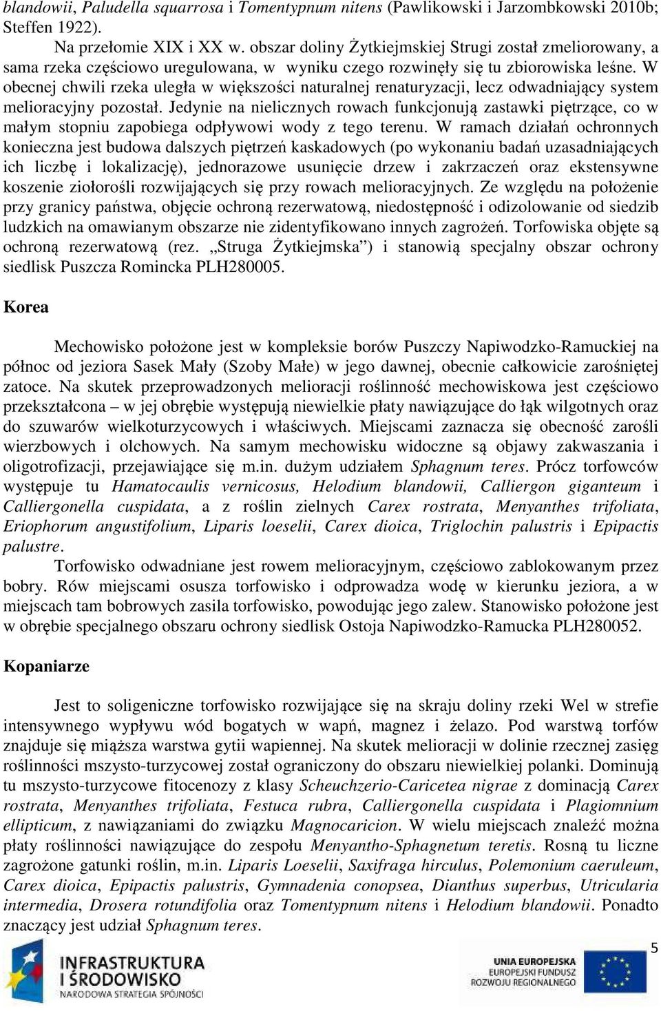 W obecnej chwili rzeka uległa w większości naturalnej renaturyzacji, lecz odwadniający system melioracyjny pozostał.