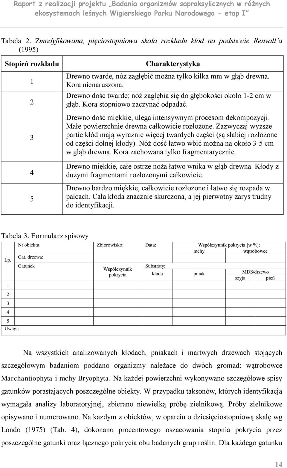 Małe powierzchnie drewna całkowicie rozłożone. Zazwyczaj wyższe partie kłód mają wyraźnie więcej twardych części (są słabiej rozłożone od części dolnej kłody).