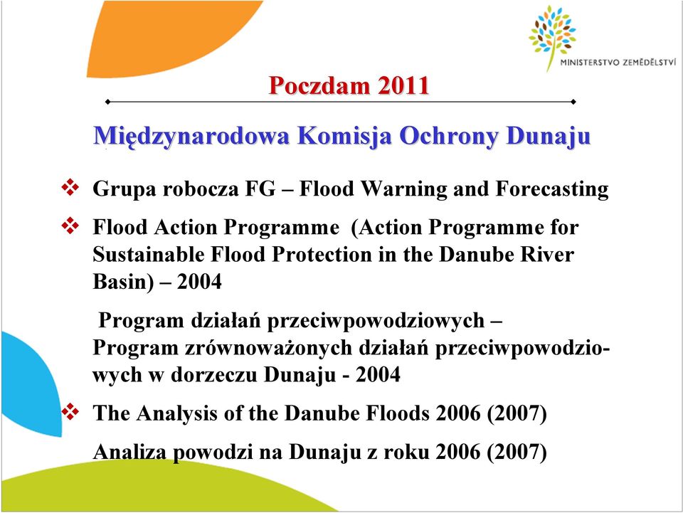 2004 Program działań przeciwpowodziowych Program zrównoważonych działań przeciwpowodziowych w