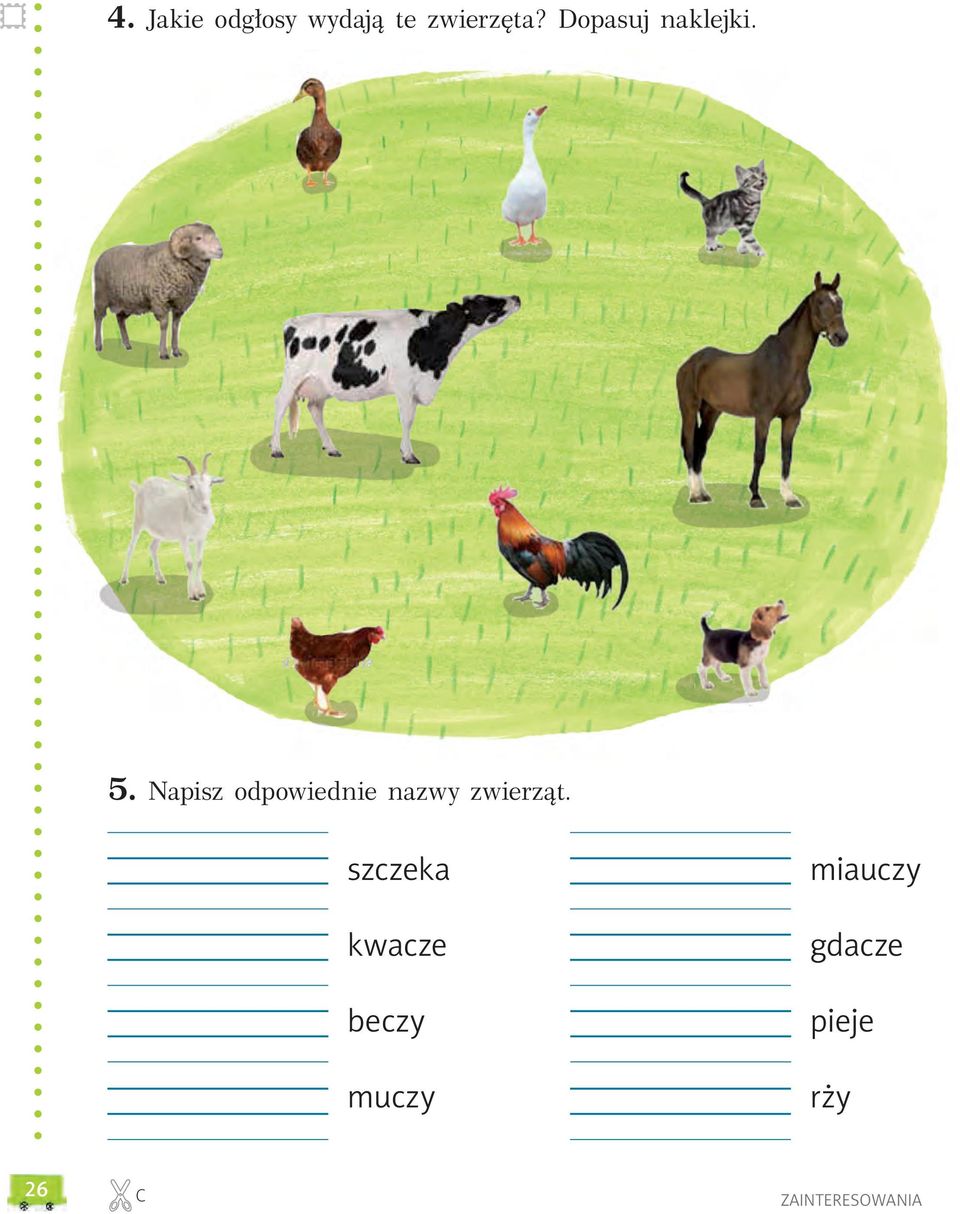 Napisz odpowiednie nazwy zwierząt.