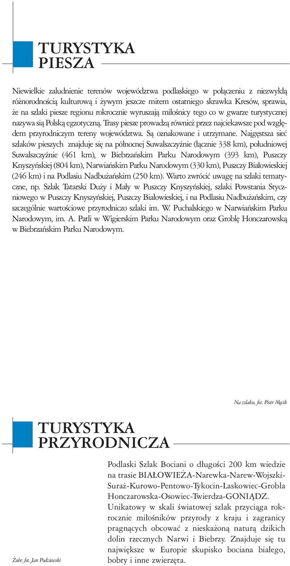 czêœci œrodkowj wyrÿni zznczj¹ siê doliny Bibrzy i Nrwi z komplksmi bgin i mokrd³ orz rozlg³ Puszcz Knyszyñsk. N po³udniu dominuj Puszcz Bi³owisk orz dolin Bugu.