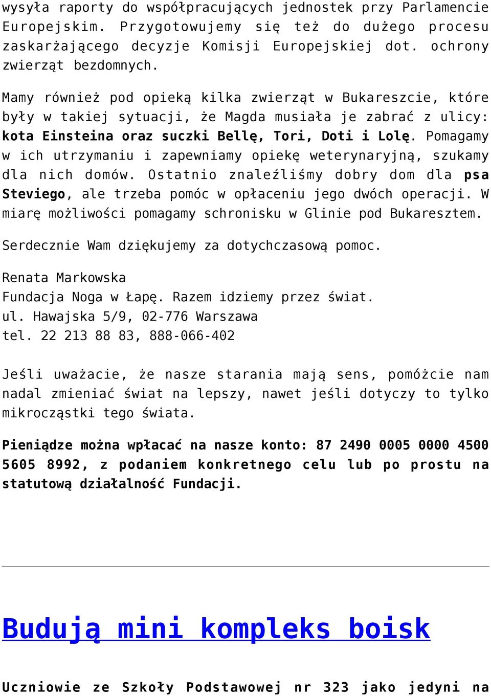Pomagamy w ich utrzymaniu i zapewniamy opiekę weterynaryjną, szukamy dla nich domów. Ostatnio znaleźliśmy dobry dom dla psa Steviego, ale trzeba pomóc w opłaceniu jego dwóch operacji.