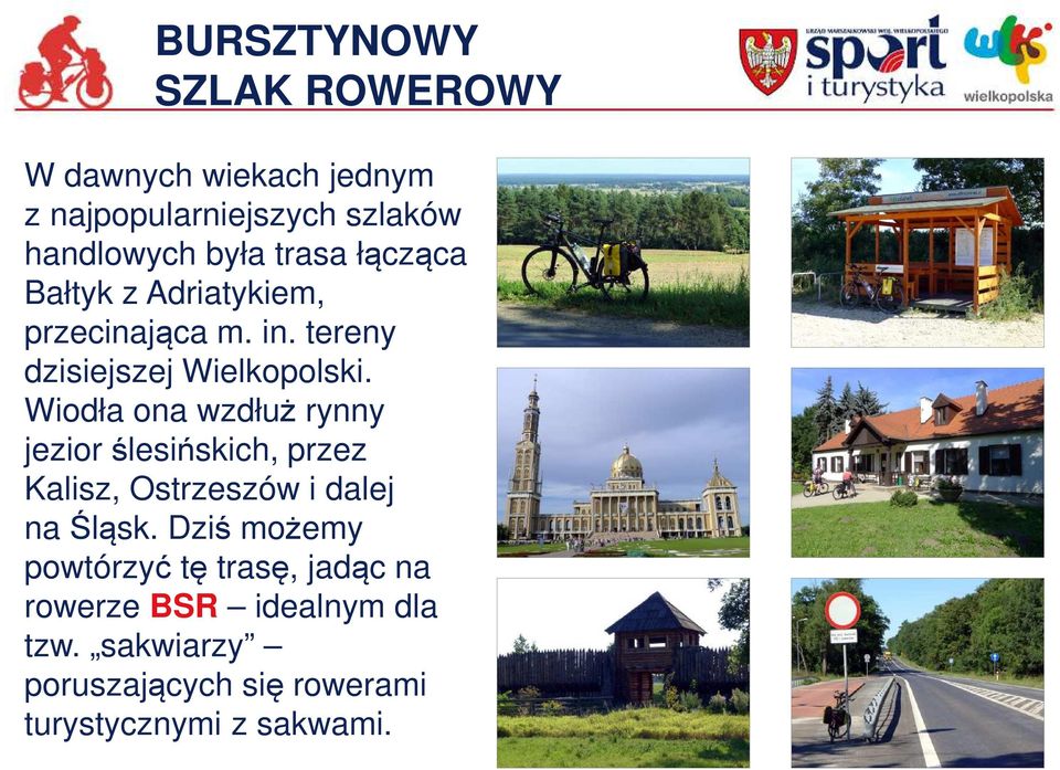 Wiodła ona wzdłuż rynny jezior ślesińskich, przez Kalisz, Ostrzeszów i dalej na Śląsk.