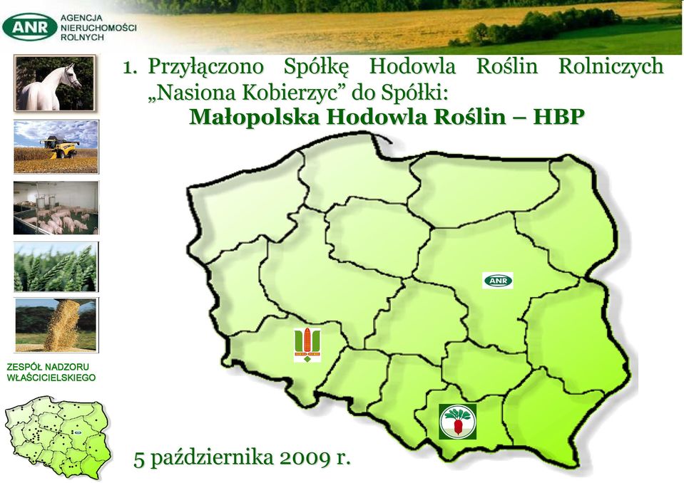 Małopolska Hodowla Roślin HBP ZESPÓŁ