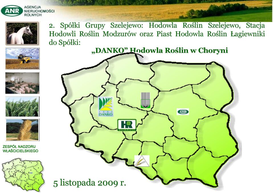 Roślin Łagiewniki do Spółki: DANKO Hodowla Roślin w