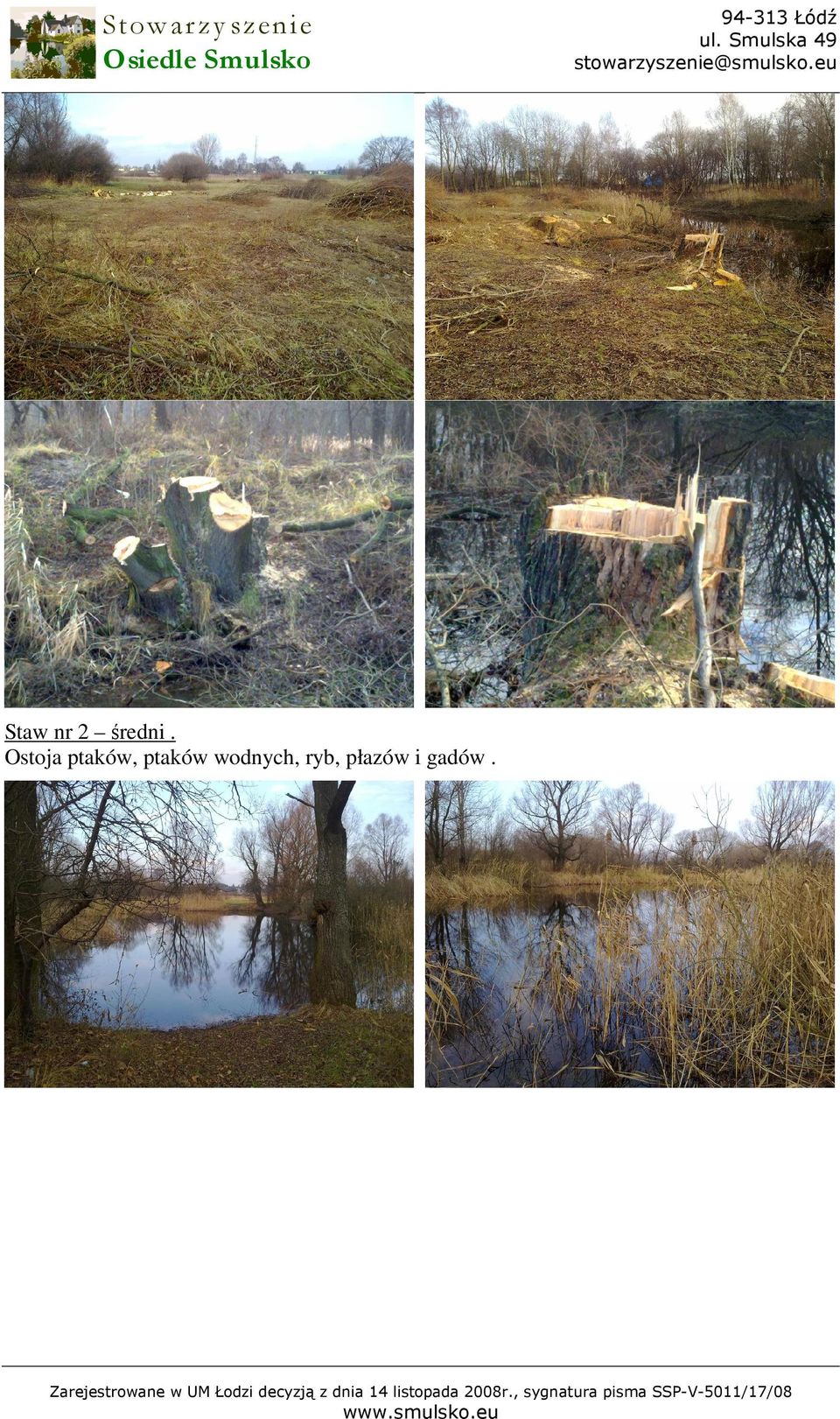 płazów i gadów.