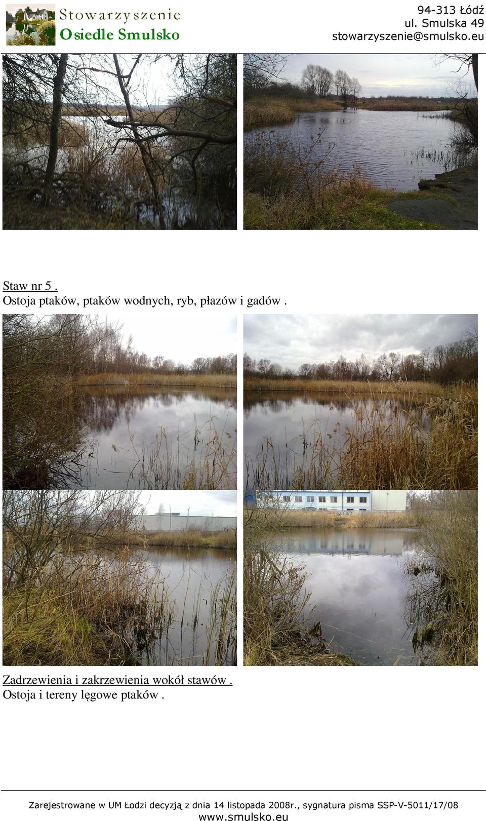 Zadrzewienia i zakrzewienia wokół stawów.