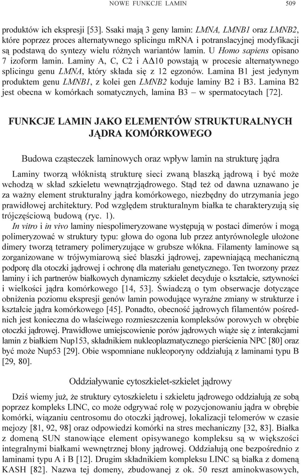 U Homo sapiens opisano 7 izoform lamin. Laminy A, C, C2 i AD10 powstaj¹ w procesie alternatywnego splicingu genu LMNA, który sk³ada siê z 12 egzonów.