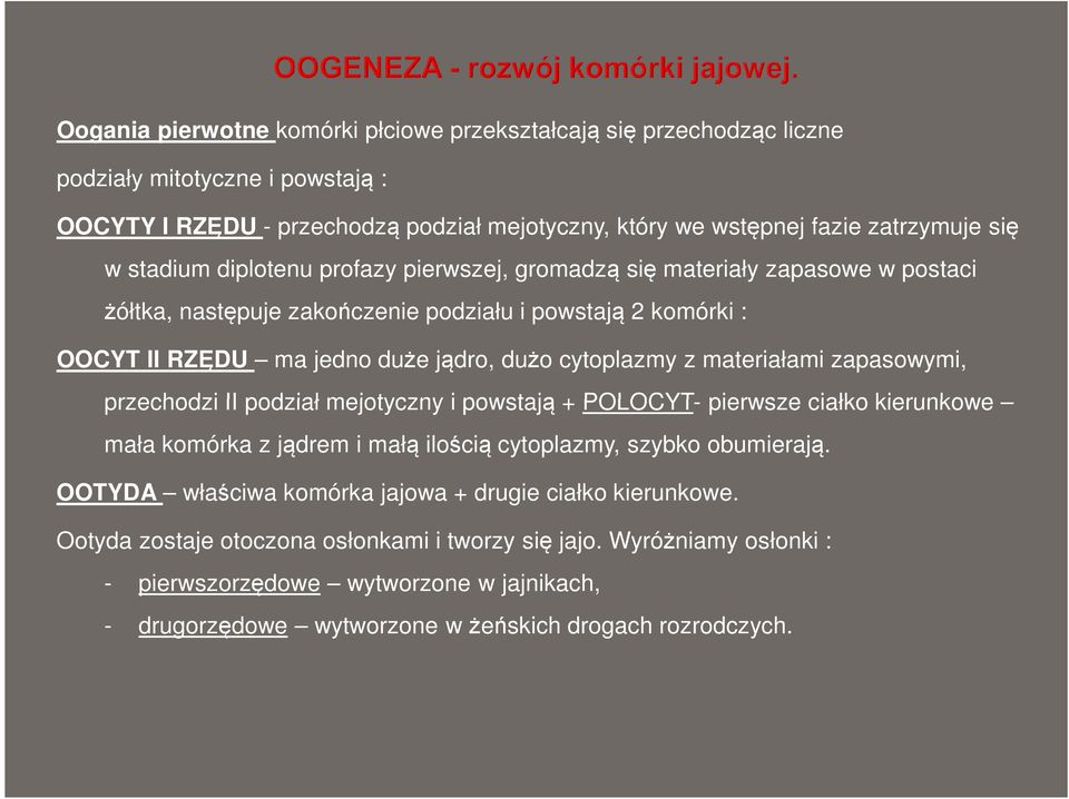 materiałami zapasowymi, przechodzi II podział mejotyczny i powstają + POLOCYT- pierwsze ciałko kierunkowe mała komórka z jądrem i małą ilością cytoplazmy, szybko obumierają.