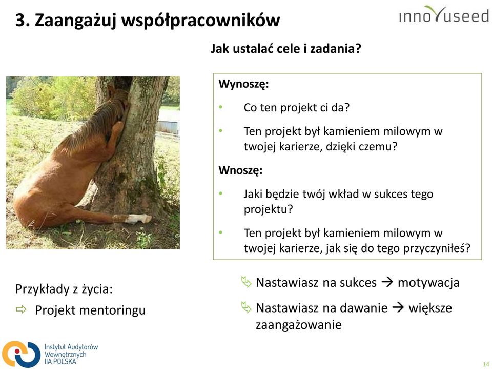 Wnoszę: Jaki będzie twój wkład w sukces tego projektu?