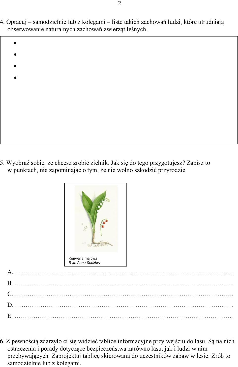 Konwalia majowa Rys. Anna Sędziwy A.. B.. C.. D.. E.. 6. Z pewnością zdarzyło ci się widzieć tablice informacyjne przy wejściu do lasu.