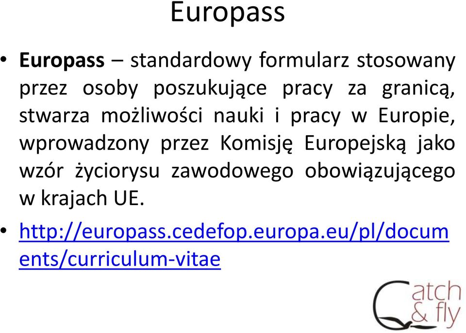 przez Komisję Europejską jako wzór życiorysu zawodowego obowiązującego w