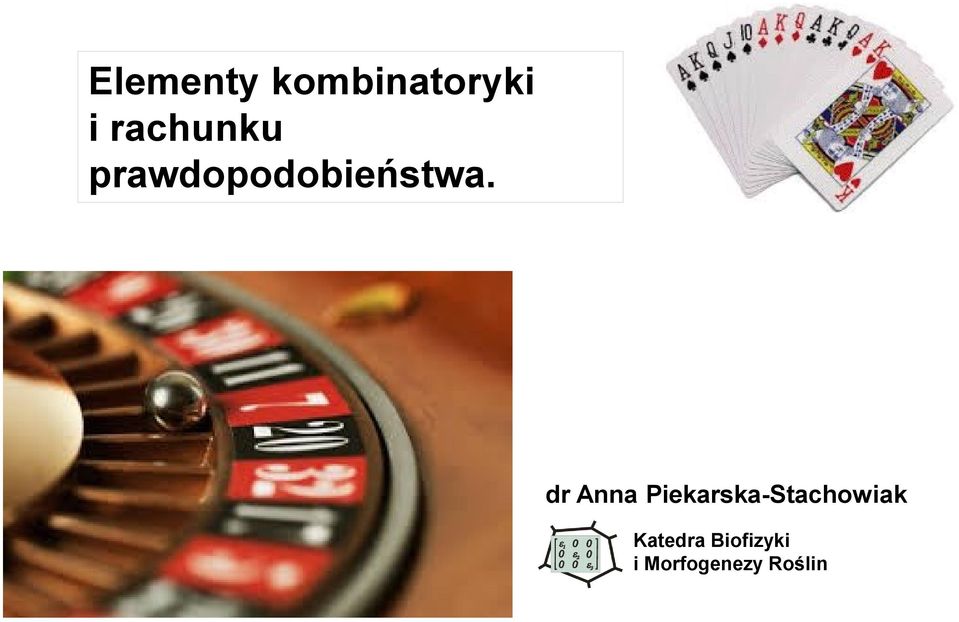 dr Anna Piekarska-Stachowiak