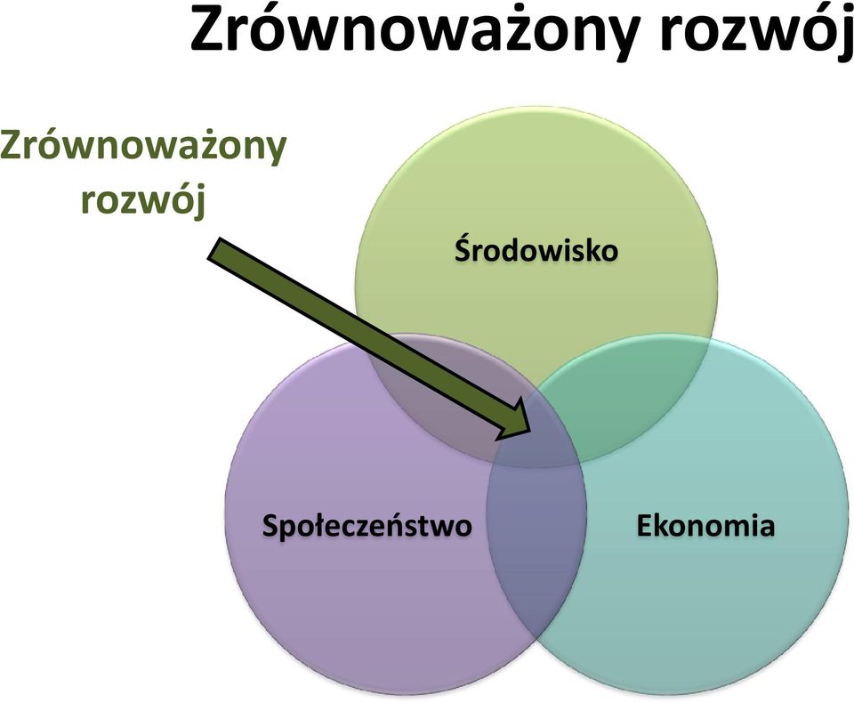 Środowisko