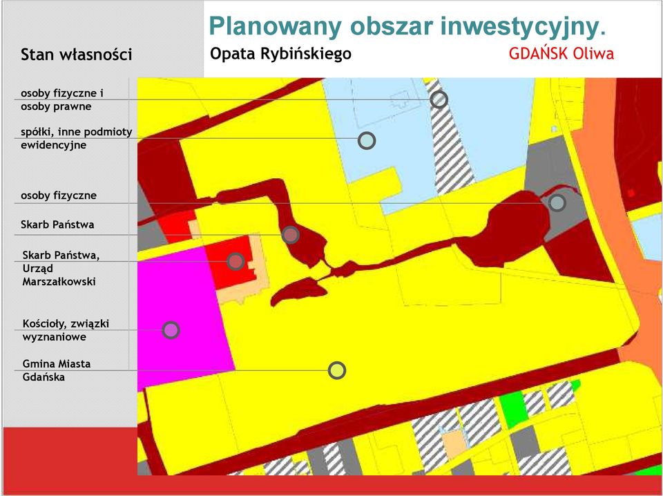 spółki, inne podmioty ewidencyjne osoby fizyczne Skarb Państwa