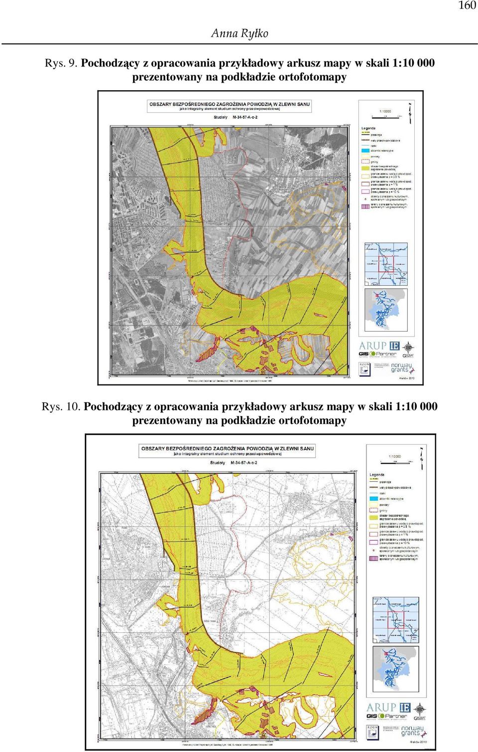 1:10 000 prezentowany na podkładzie ortofotomapy Rys. 10.