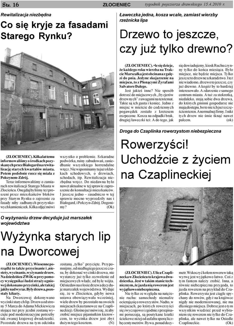 le siê dzieje, e ka dego roku wierzba na Trakcie Marsza³ka jest obcinana z ga³êzi do pnia. Jedyne skojarzenie na miejscu, to z P³on¹cymi yrafami Salvatore Dalego. Jest jakieœ inne?