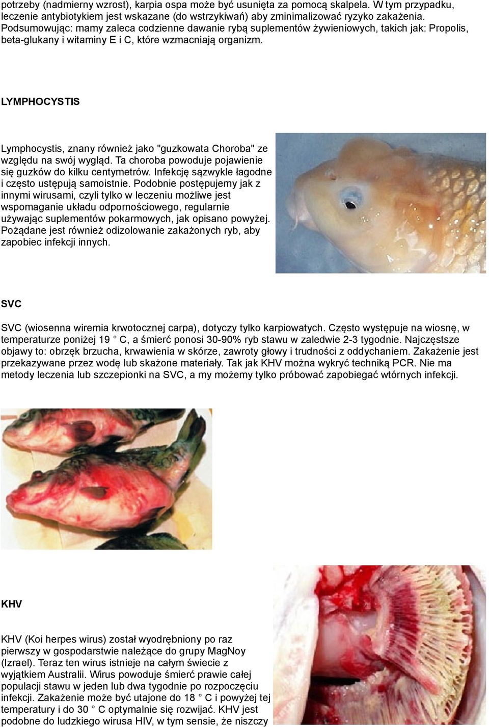 LYMPHOCYSTIS Lymphocystis, znany również jako "guzkowata Choroba" ze względu na swój wygląd. Ta choroba powoduje pojawienie się guzków do kilku centymetrów.