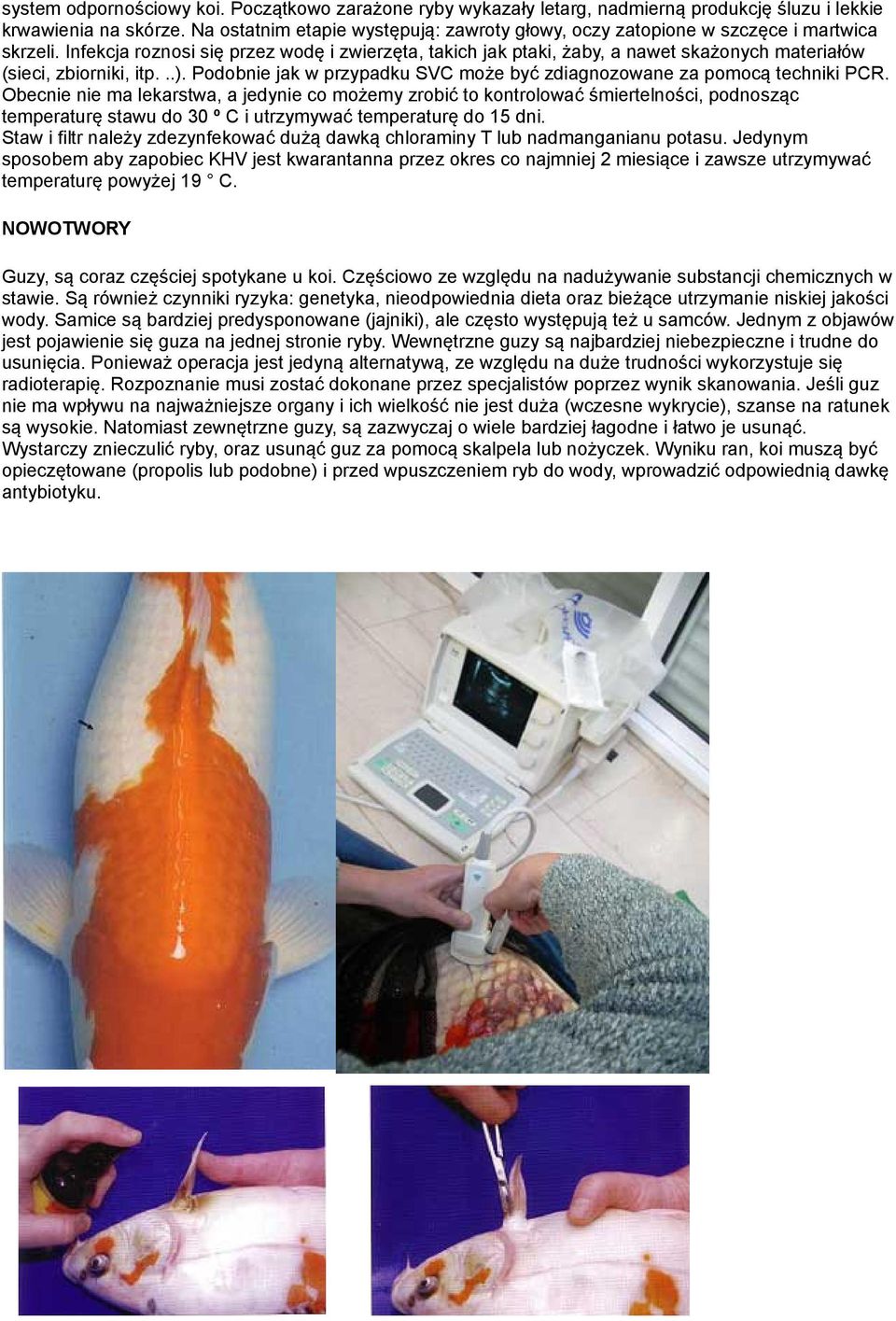Infekcja roznosi się przez wodę i zwierzęta, takich jak ptaki, żaby, a nawet skażonych materiałów (sieci, zbiorniki, itp...).