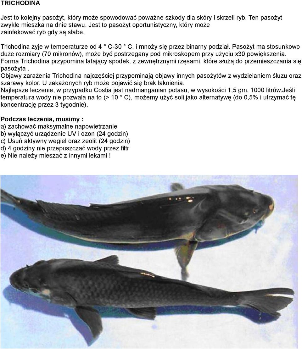 Pasożyt ma stosunkowo duże rozmiary (70 mikronów), może być postrzegany pod mikroskopem przy użyciu x30 powiększenia.