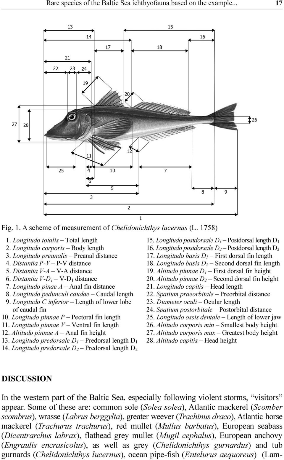 Longitudo pinae A Anal fin distance 8. Longitudo pedunculi caudae Caudal length 9. Longitudo C inferior Length of lower lobe of caudal fin 10. Longitudo pinnae P Pectoral fin length 11.