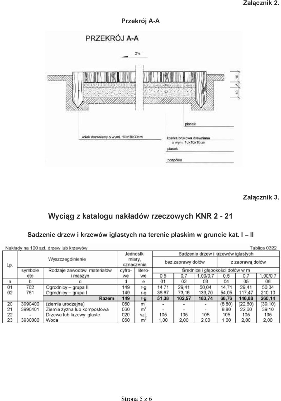 2-21 Sadzenie drzew i krzewów iglastych na