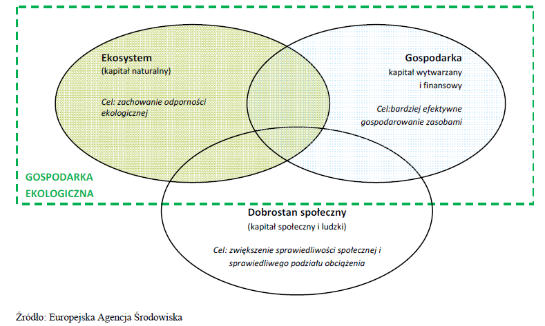 ZIELONY WZROST a