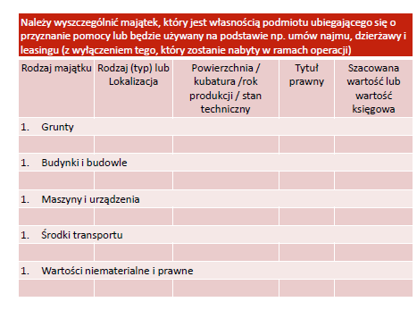 2.2. POSIADANE ZASOBY, KTÓRE BĘDĄ WYKORZYSTANE DO PROWADZONEJ DZIAŁALNOŚĆ GOSPODARCZEJ W tabeli należy opisać rodzaj majątku (np.