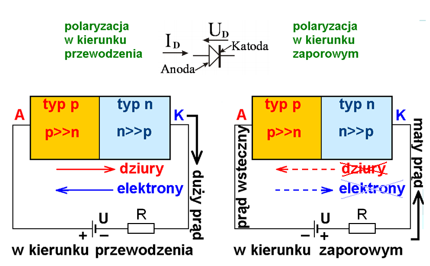 Dioda ma dwa doprowadzenia: (-) katodę (K) i (+) anodę (A).