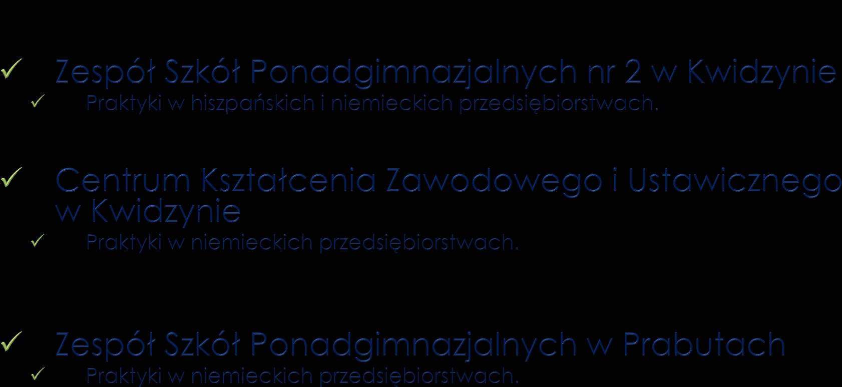 Staże zawodowe w