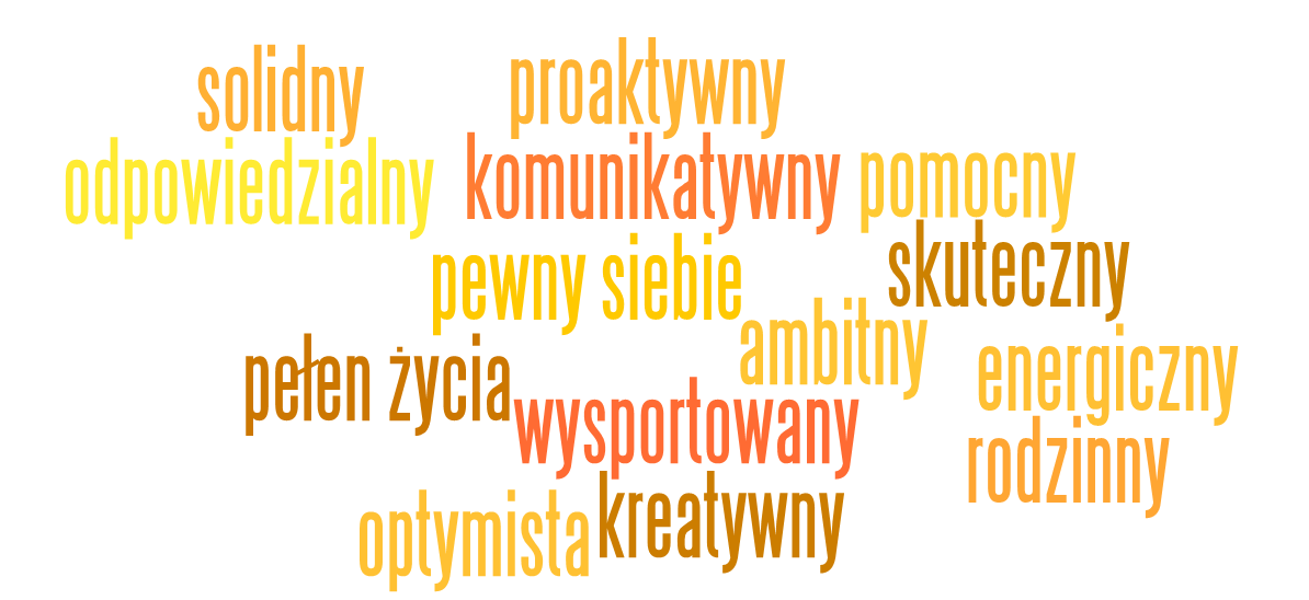 Rysunek 1.