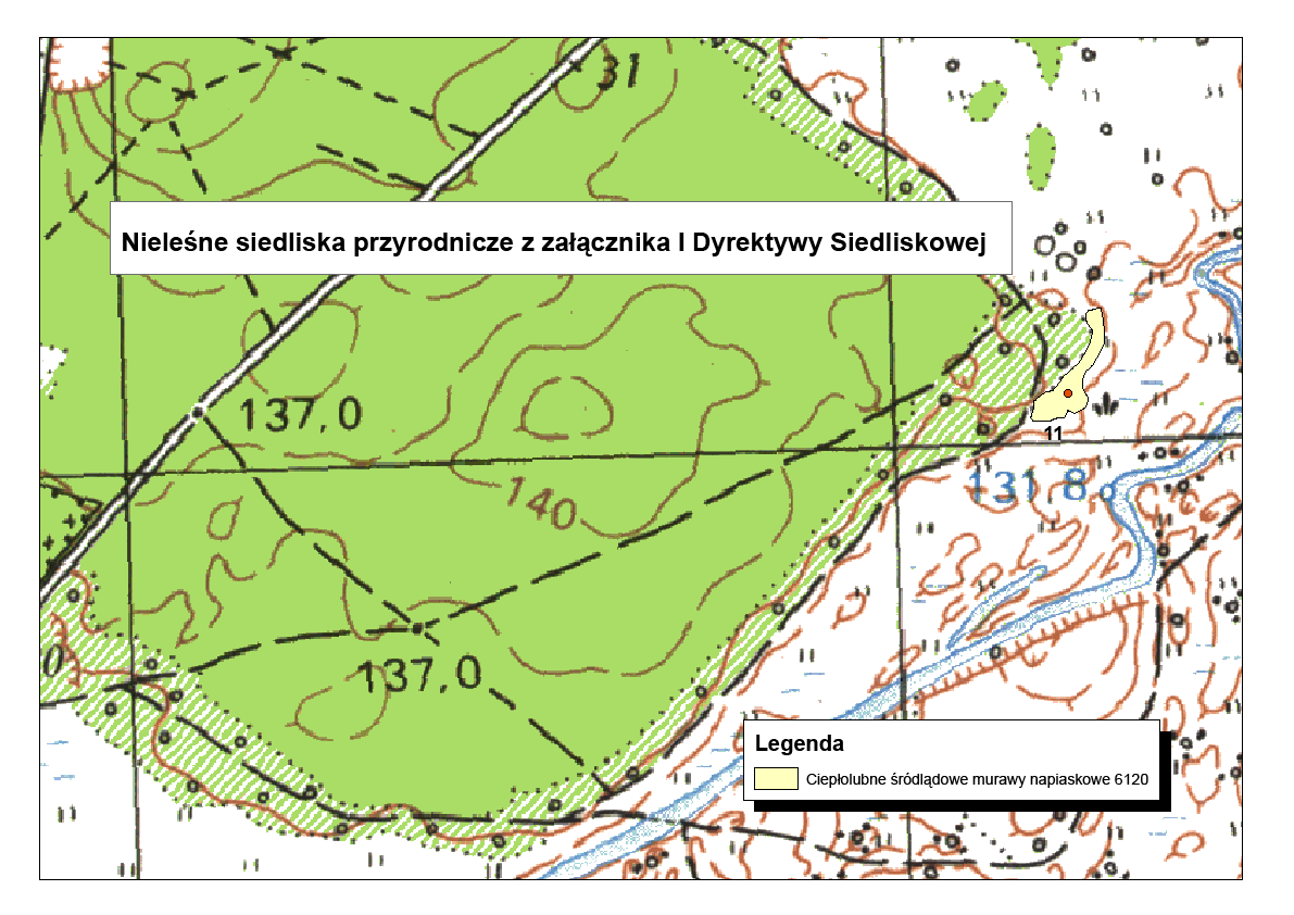 Ciepłolubne śródlądowe murawy