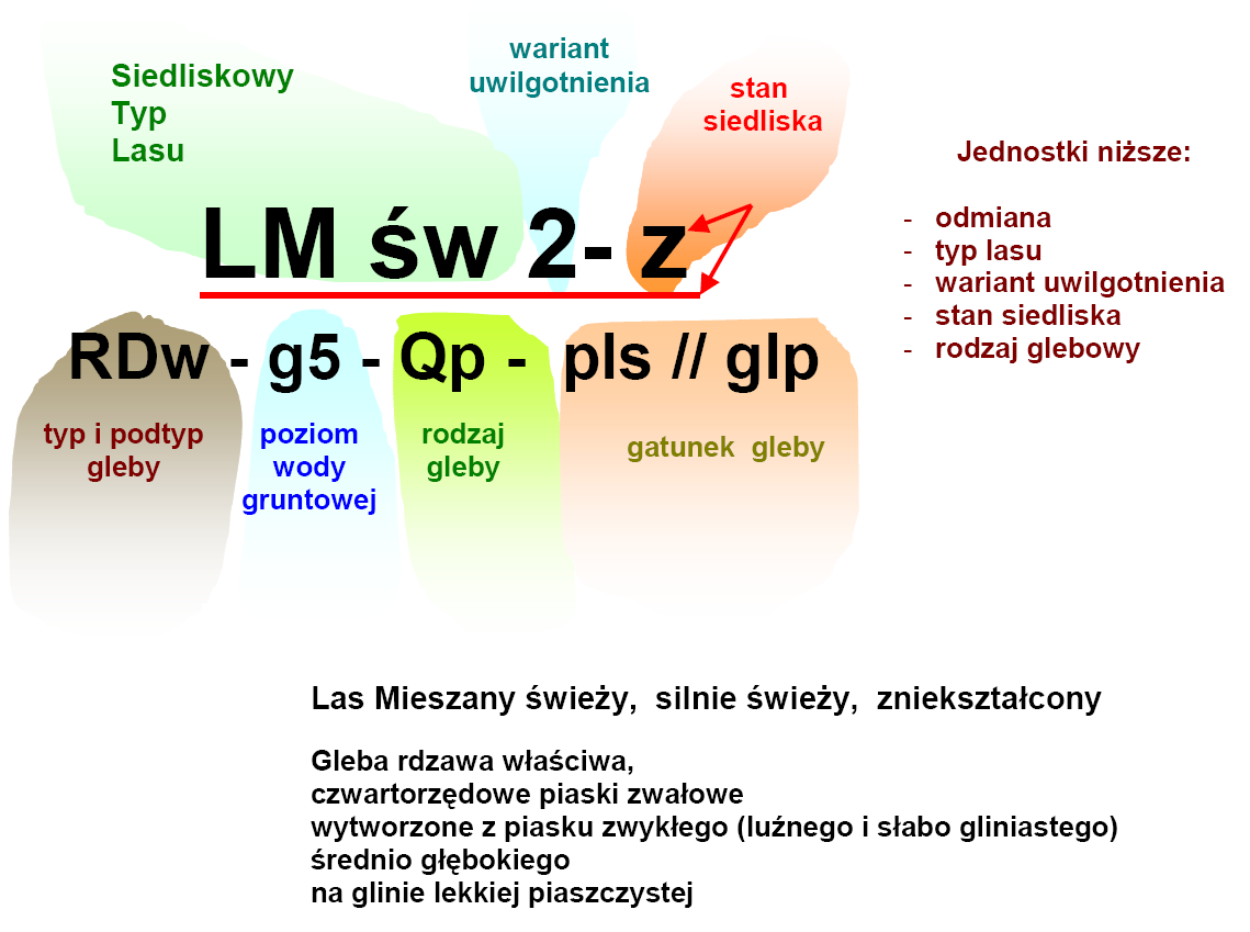 Skąd informacje glebowo-siedli